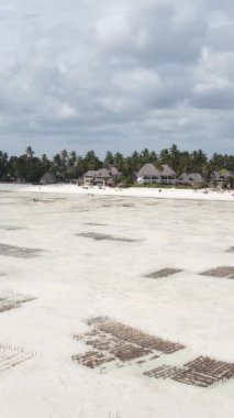 Tanzanya - Zanzibar kıyıları yakınlarındaki okyanusta alçak gelgitin dikey videosu, yavaş çekim