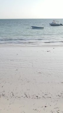 Tanzanya - Zanzibar kıyıları yakınlarındaki okyanusta alçak gelgitin dikey videosu, yavaş çekim