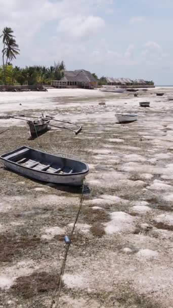 Tanzania - verticale video van laagwater in de oceaan bij de kust van Zanzibar, slow motion — Stockvideo