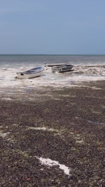 Tanzania - pionowe wideo odpływu w oceanie przy wybrzeżu Zanzibaru, zwolnione tempo — Wideo stockowe