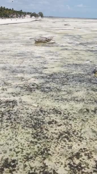 Tanzania - vertical video of low tide in the ocean near the coast of Zanzibar, slow motion — Stock Video