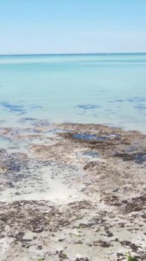 Tanzanya - okyanusun Zanzibar kıyısındaki dikey videosu, yavaş çekim