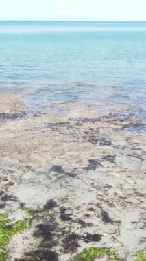 Tanzanya - okyanusun Zanzibar kıyısındaki dikey videosu, yavaş çekim