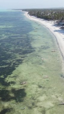 Tanzanya - okyanusun Zanzibar kıyısındaki dikey videosu, yavaş çekim