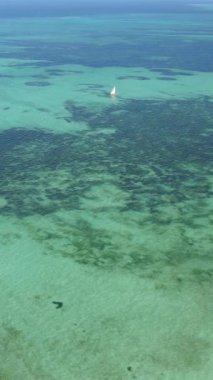 Tanzanya - okyanusun Zanzibar kıyısındaki dikey videosu, yavaş çekim