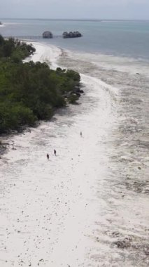 Tanzanya - okyanusun Zanzibar kıyısındaki dikey videosu, yavaş çekim