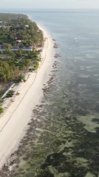 Tanzania - vertical video of the ocean near the coast of Zanzibar, slow motion — 图库视频影像