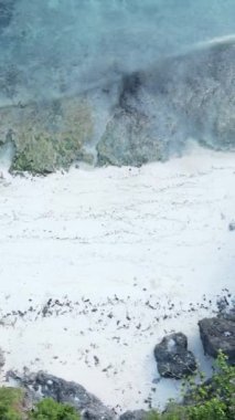 Tanzanya - okyanusun Zanzibar kıyısındaki dikey videosu, yavaş çekim