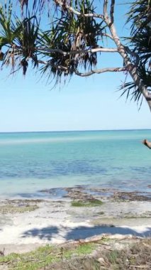 Tanzanya - okyanusun Zanzibar kıyısındaki dikey videosu, yavaş çekim