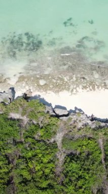 Tanzanya - okyanusun Zanzibar kıyısındaki dikey videosu, yavaş çekim