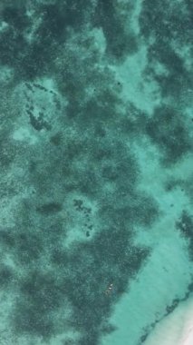 Tanzanya - okyanusun Zanzibar kıyısındaki dikey videosu, yavaş çekim