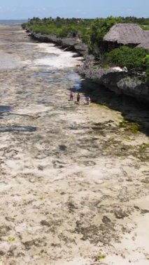 Tanzanya - okyanusun Zanzibar kıyısındaki dikey videosu, yavaş çekim