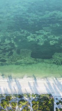 Tanzanya - okyanusun Zanzibar kıyısındaki dikey videosu, yavaş çekim