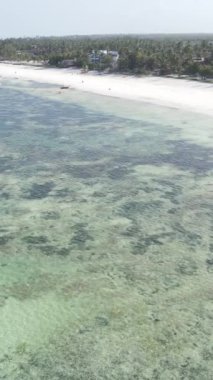 Tanzanya - okyanusun Zanzibar kıyısındaki dikey videosu, yavaş çekim