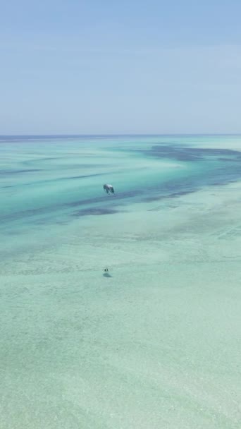 Tanzanie - vertikální video oceánu u pobřeží Zanzibaru, zpomalení — Stock video