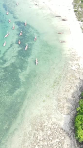 Tanzanya - okyanusun Zanzibar kıyısındaki dikey videosu, yavaş çekim — Stok video