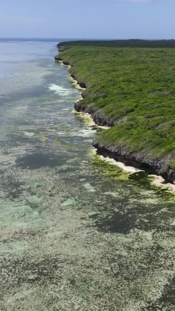 Tanzania - pionowe wideo oceanu w pobliżu wybrzeża Zanzibaru, zwolnione tempo — Wideo stockowe