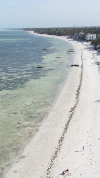 Tanzania - vertikal video av havet nära kusten i Zanzibar, slow motion — Stockvideo