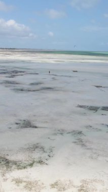 Tanzanya - okyanusun Zanzibar kıyısındaki dikey videosu, yavaş çekim