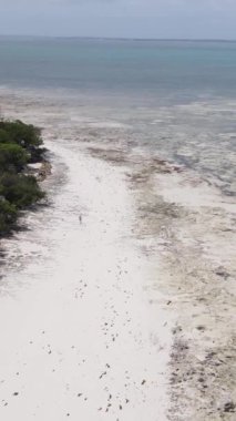 Tanzanya - okyanusun Zanzibar kıyısındaki dikey videosu, yavaş çekim