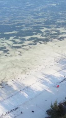 Tanzanya - okyanusun Zanzibar kıyısındaki dikey videosu, yavaş çekim