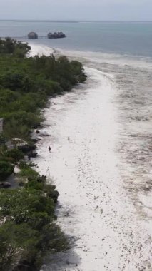 Tanzanya - okyanusun Zanzibar kıyısındaki dikey videosu, yavaş çekim