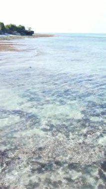 Tanzanya - okyanusun Zanzibar kıyısındaki dikey videosu, yavaş çekim