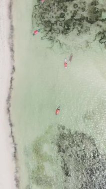Tanzanya - okyanusun Zanzibar kıyısındaki dikey videosu, yavaş çekim