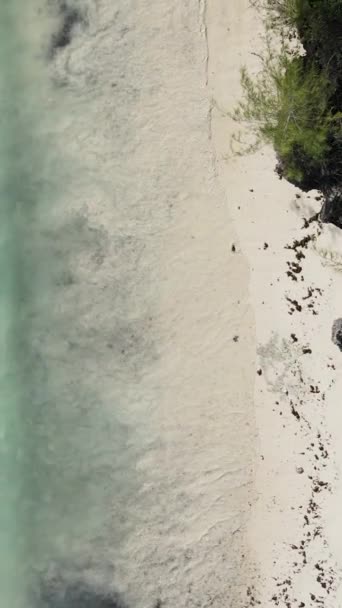 Танзания - вертикальное видео океана у берегов Занзибара, замедленная съемка — стоковое видео