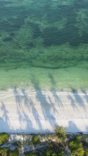 Tanzania - video vertical del océano cerca de la costa de Zanzíbar, cámara lenta — Vídeos de Stock