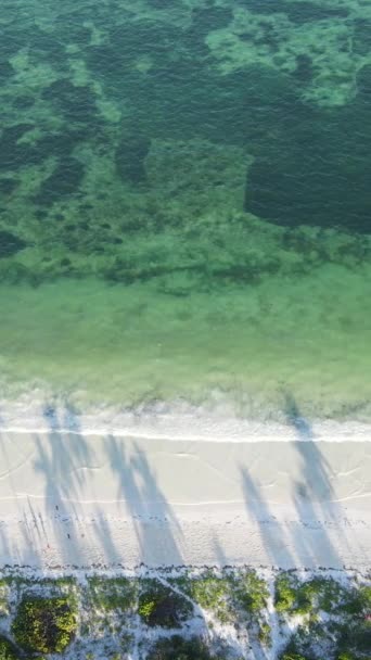 Tanzania - vertical video of the ocean near the coast of Zanzibar, slow motion — Stock Video