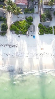 Tanzanya 'nın Zanzibar adasındaki kumsalın dikey videosu.