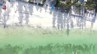 Tanzanya 'nın Zanzibar adasındaki kumsalın dikey videosu.