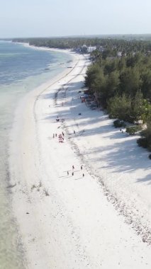 Tanzanya 'nın Zanzibar adasındaki kumsalın dikey videosu.