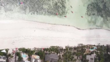Tanzanya 'nın Zanzibar adasındaki kumsalın dikey videosu.