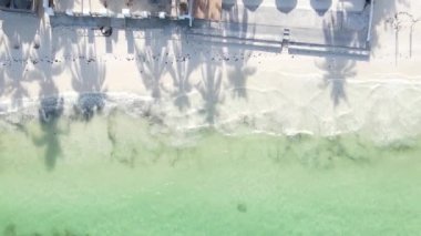 Tanzanya 'nın Zanzibar adasındaki kumsalın dikey videosu.