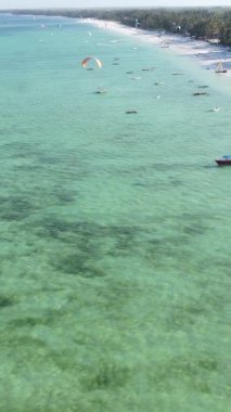 Tanzanya 'nın Zanzibar adasındaki kumsalın dikey videosu.