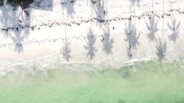 Zanzibar, Tanzanya kıyısı yakınlarındaki okyanusta dikey video tekneleri.