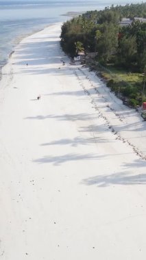 Zanzibar, Tanzanya kıyısı yakınlarındaki okyanusta dikey video tekneleri.
