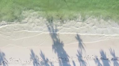 Zanzibar, Tanzanya kıyısı yakınlarındaki okyanusta dikey video tekneleri.