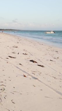 Zanzibar, Tanzanya kıyısı yakınlarındaki okyanusta dikey video tekneleri.