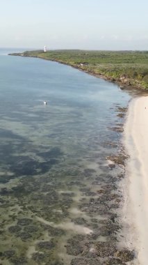 Zanzibar, Tanzanya kıyısı yakınlarındaki okyanusta dikey video tekneleri.