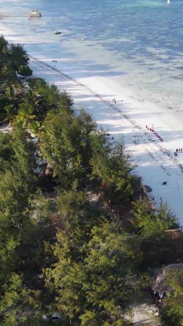 Vídeo vertical da praia na ilha de Zanzibar, Tanzânia, vista aérea — Vídeo de Stock