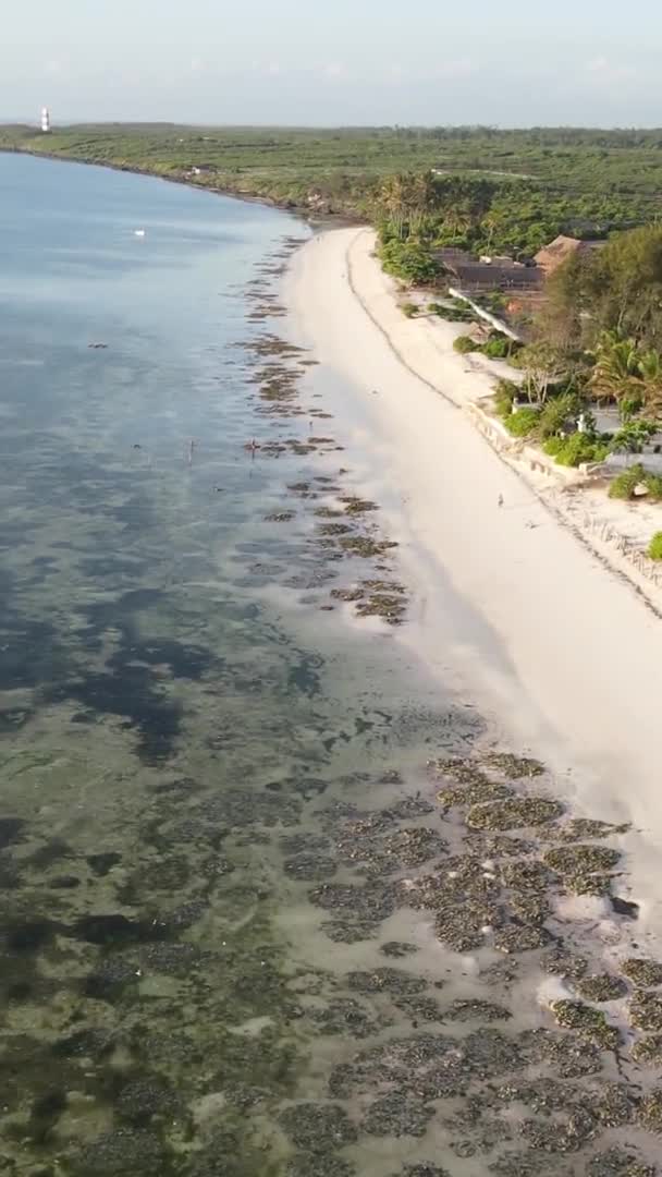 Vídeo vertical da praia na ilha de Zanzibar, Tanzânia, vista aérea — Vídeo de Stock