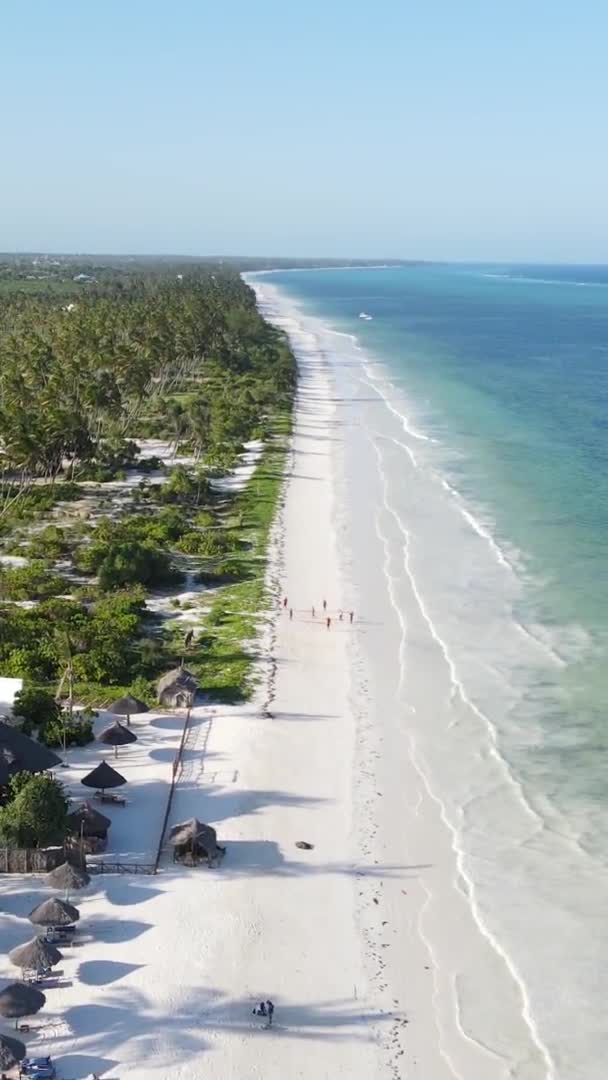 Verticale videoboten in de oceaan bij de kust van Zanzibar, Tanzania, luchtfoto 's — Stockvideo