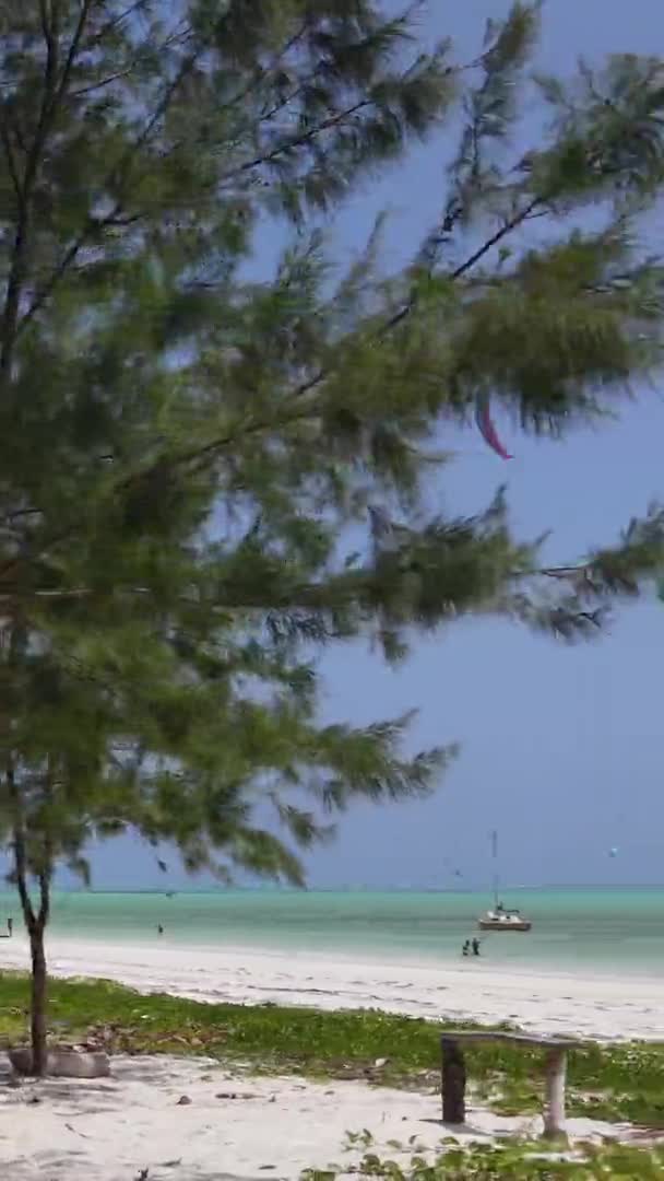 Κάθετες βάρκες βίντεο στον ωκεανό κοντά στην ακτή της Ζανζιβάρης, Τανζανία, εναέρια άποψη — Αρχείο Βίντεο