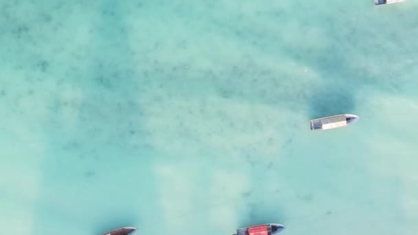 Video barcos verticales en el océano cerca de la costa de Zanzíbar, Tanzania, vista aérea — Vídeos de Stock