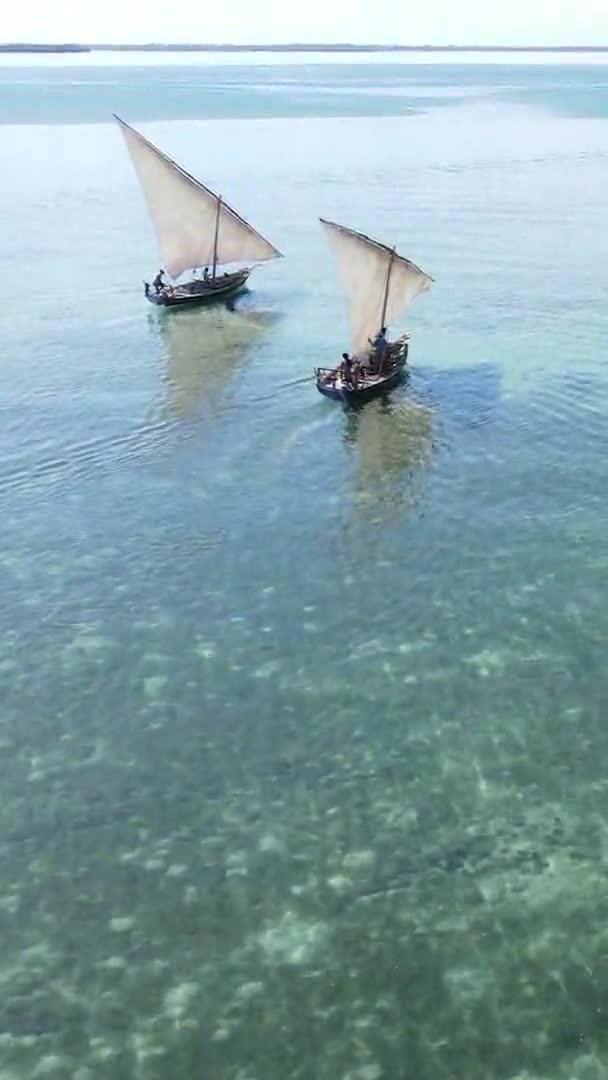 Vertical video boats in the ocean near the coast of Zanzibar, Tanzania, widok z lotu ptaka — Wideo stockowe