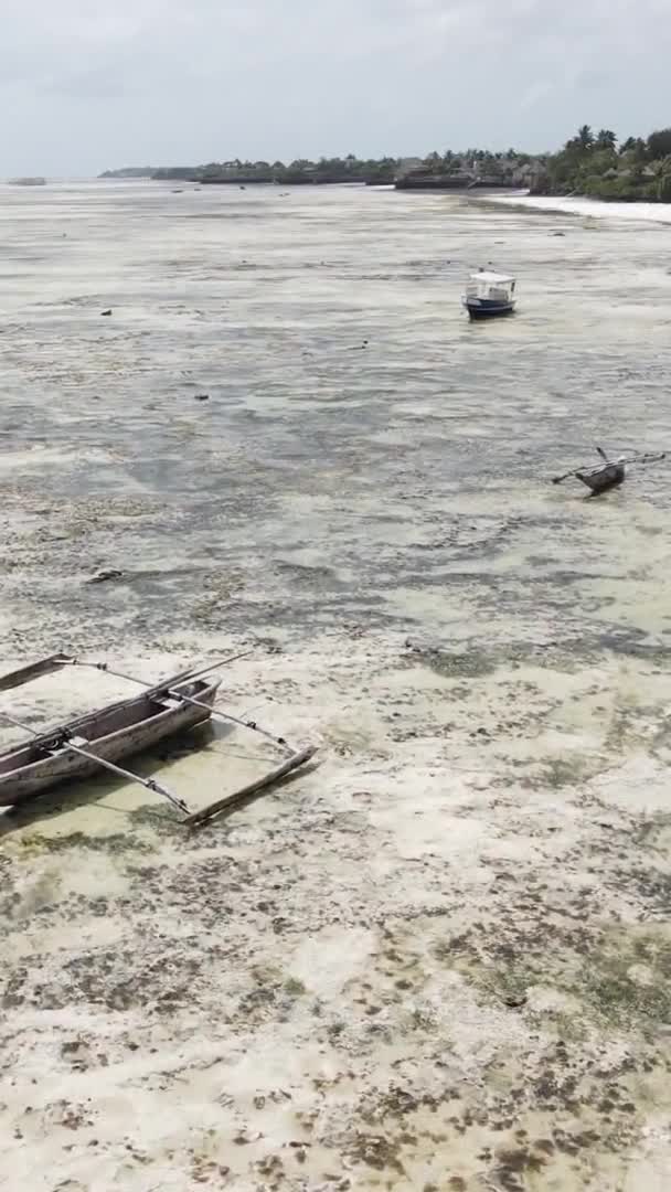 Vertical video boats in the ocean near the coast of Zanzibar, Tanzania, widok z lotu ptaka — Wideo stockowe