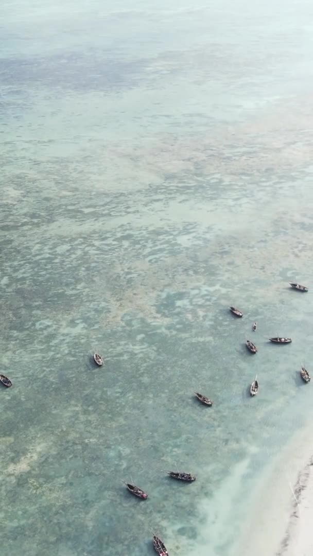 坦桑尼亚桑给巴尔海岸附近海域的垂直视频船，航拍 — 图库视频影像